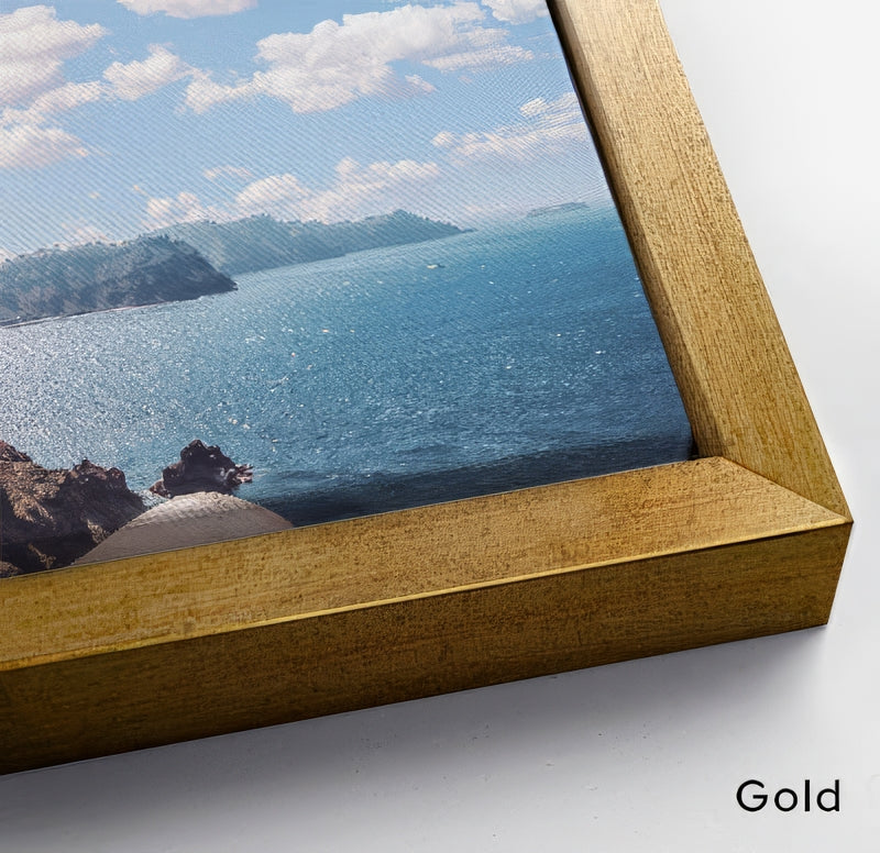 Gold Floating Canvas frame detail