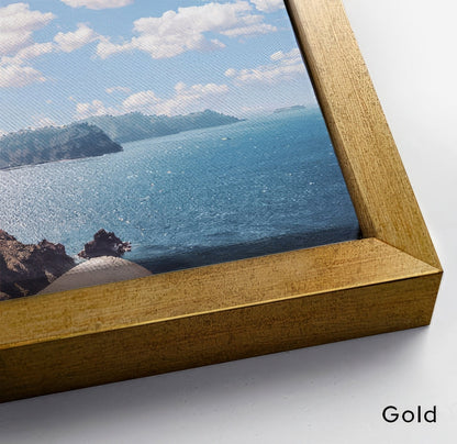 Gold Floating Canvas frame detail